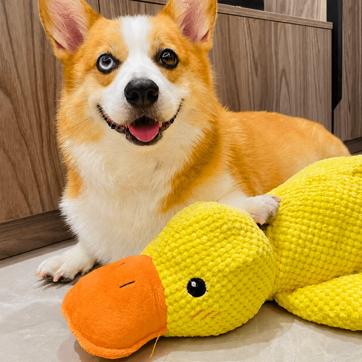 DuckBuddy™