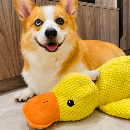DuckBuddy™