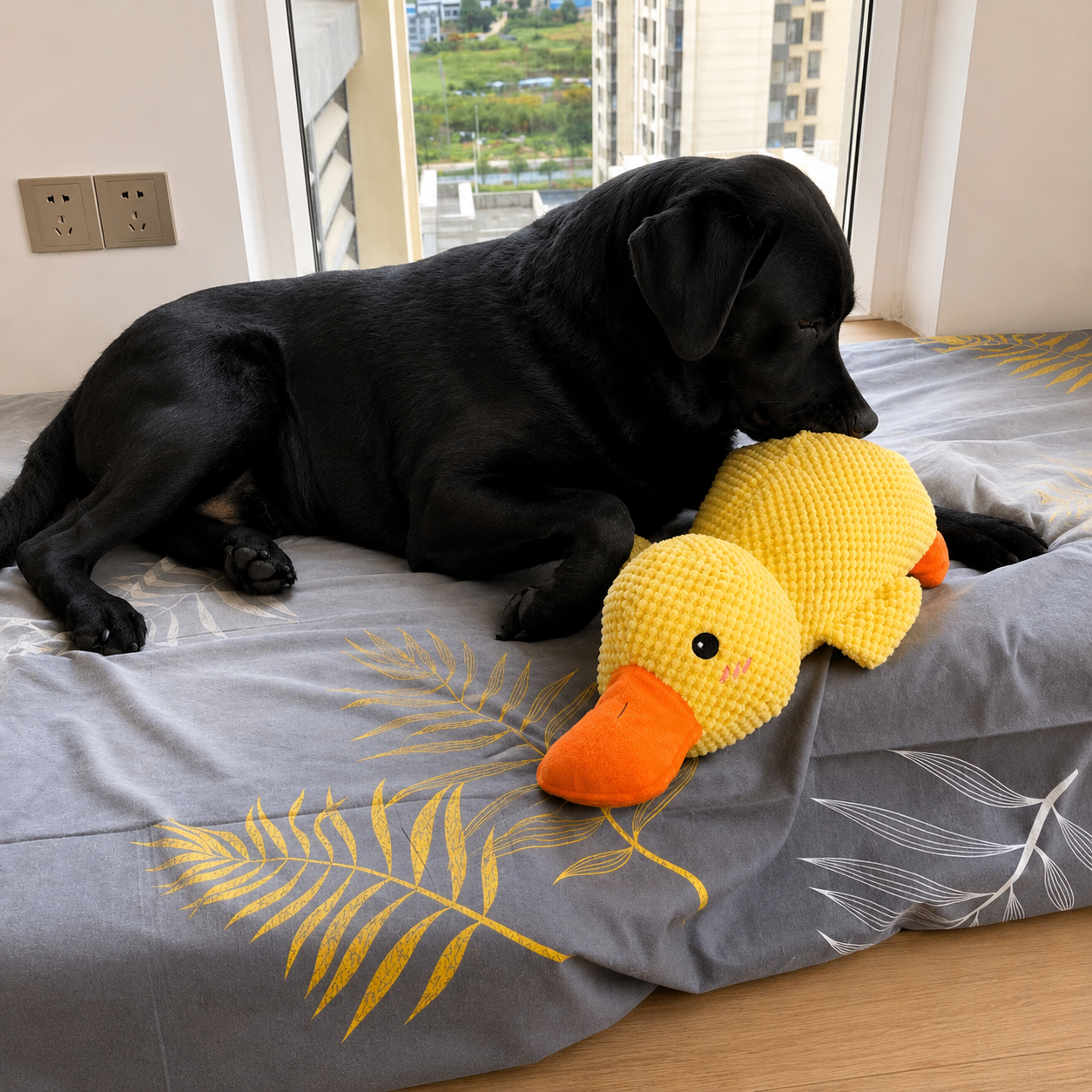 DuckBuddy™