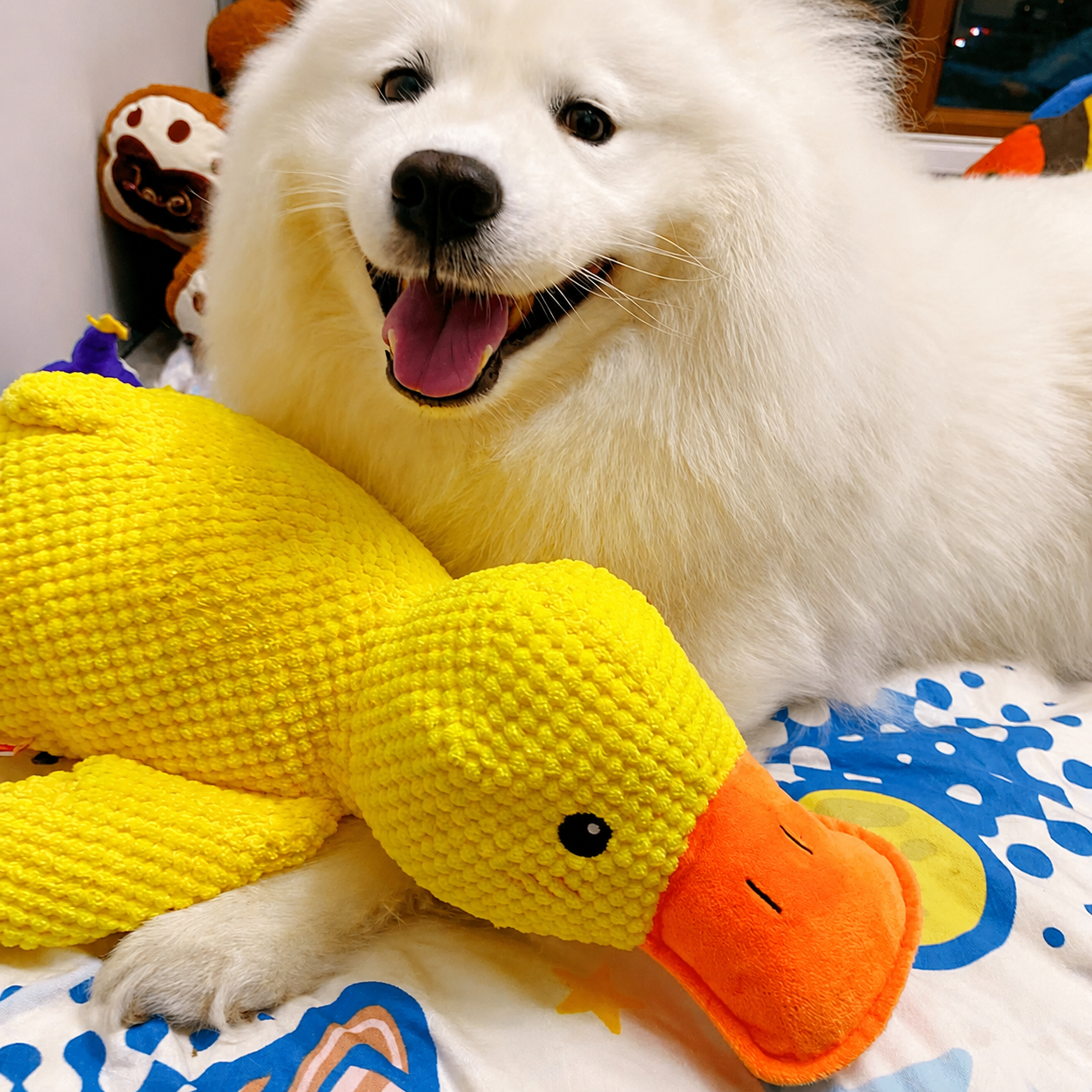 DuckBuddy™